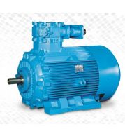 Flame Proof Induction Motors Ex-d/Ex-db IP66 0.37-500kW 415V 4/6/8 Pole | ATEX/IECEx Zone 1/2 Certified | TEFC Cast Iron Frame Hazardous Area | Gas/Dust Explosion Proof | DEWA Approved UAE Safety Motors 